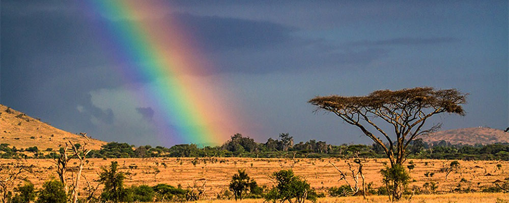 Masai-Mara