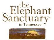 elephant sanctuary logo