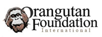orangutan foundation logo
