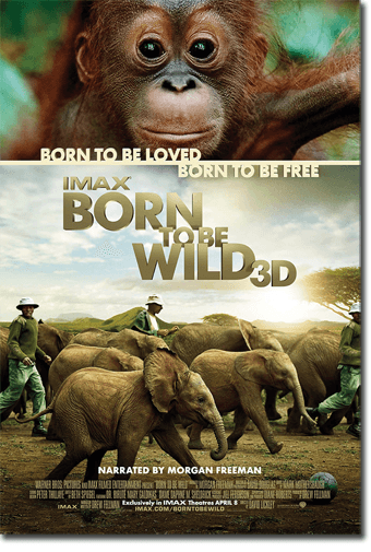 Born_to_be_Wild_IMAX